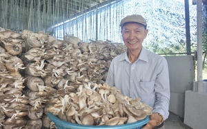 Đông đảo người lao động Supe Lâm Thao hiến máu tình nguyện, ủng hộ đồng bào bị thiệt hại do bão số 3 - Ảnh 6.