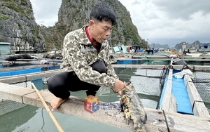 Cao Bằng: Lập Sở Chỉ huy tại huyện Nguyên Bình, quyết liệt tăng cường tìm kiếm nạn nhân mất tích- Ảnh 6.