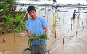 Bộ GTVT: Khẩn trương cứu người đang mất tích "tính mạng con người là trên hết" - Ảnh 6.