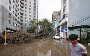 Bãi giữ xe ngang nhiên "mọc" trong nhà văn hóa - Ảnh 4.