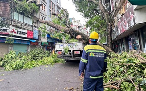 Giá rau xanh tăng mạnh sau bão Yagi, tiểu thương "than" xấu mã nhưng giá vẫn gấp đôi ngày thường - Ảnh 9.