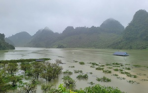 Ông Vàng A Vạng ở Sơn La, trồng mận trái vụ mà thành tỷ phú đầu tiên của bản - Ảnh 7.