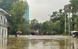 Thủ tướng chỉ đạo "nóng" ngành bảo hiểm tập trung khắc phục hậu quả bão số 3 và mưa lũ sau bão - Ảnh 4.