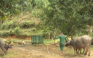 Video: Vừa chạy lũ ở quê nhà, người dân Thái Nguyên lại sang Bắc Giang cứu trợ- Ảnh 2.