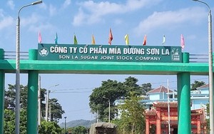 Dân Bắc Ninh đắp đê 2 ngày 3 đêm, ai cũng mệt, lên mạng kêu gọi, ngàn người ào đến xắn tay - Ảnh 2.