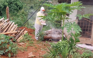 Trưởng ban Tuyên giáo Trung ương kiểm tra công tác khắc phục hậu quả mưa lũ tại Sơn La - Ảnh 9.