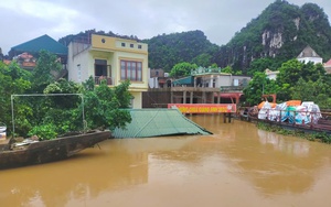 Lợn chết trôi sông - Ảnh 2.