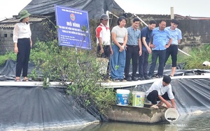 Khánh Dương, Yên Đồng, Yên Thành về đích nông thôn mới nâng cao- Ảnh 9.