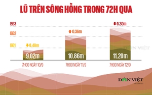 số người - Ảnh 4.