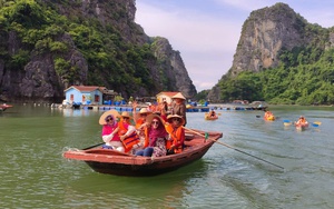 Chủ tịch Quảng Ninh: 3 ngày phải "thần tốc" làm sạch vịnh Hạ Long- Ảnh 5.