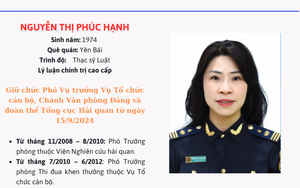 Doanh nghiệp Hàn Quốc muốn đầu tư trồng tre tại Quảng Ninh - Ảnh 5.