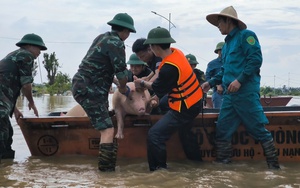 Phó Thủ tướng Trần Hồng Hà yêu cầu tỉnh Nam Định sớm có giải pháp hỗ trợ nông dân khôi phục sản xuất - Ảnh 5.