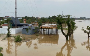 Lợn chết trôi sông - Ảnh 4.