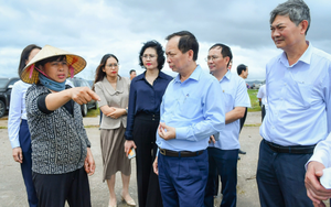 "Mất trắng" hàng tỷ đồng do bão Yagi: Người dân mất khả năng trả nợ, ngân hàng nhập cuộc- Ảnh 7.