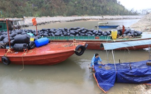 Hà Nội: Hàng trăm người lội nước vào vớt lợn từ một trang trại bị ngập - Ảnh 11.