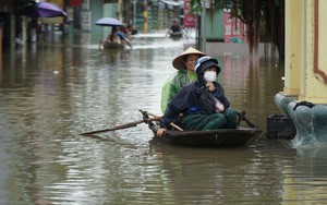 Bão đánh tan hoang, dân Quảng Ninh đành bấm bụng bán tôm thẻ giá rẻ vớt vát đồng tiền- Ảnh 9.