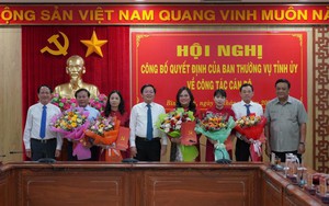 UBND tỉnh Bình Định báo cáo gì với Thường trực HĐND tỉnh về doanh nghiệp trực thuộc có 386 người?- Ảnh 4.