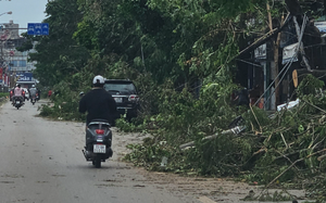 Thủ tướng chốt thời gian xử lý, tháo gỡ khó khăn 2 tuyến cao tốc ở Lâm Đồng - Ảnh 5.