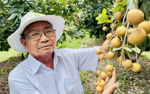 Hội Nông dân tỉnh Đồng Tháp hỗ trợ nông dân bán hàng trên sàn thương mại điện tử - Ảnh 3.