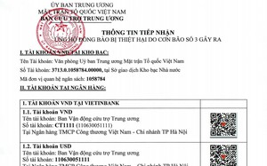 Cứu trợ thiên tai: "Không nên để cảnh một thôn 300 người mà nhận hàng nghìn chiếc bánh chưng"- Ảnh 5.