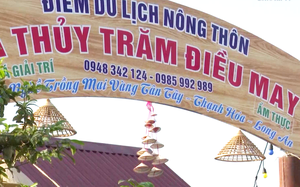 Phát triển mới HTX làng nghề để làm kinh tế tập thể - Ảnh 3.