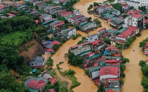 Lúa chín 60 - 70% nông dân vẫn phải thu - Ảnh 9.