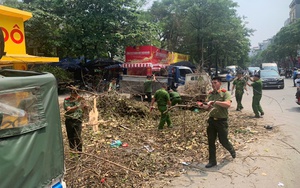 Hàng loạt cây xanh ở Hà Nội "hồi sinh" sau bão số 3, mầm non nhô lên giữa nắng vàng - Ảnh 17.