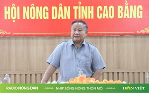 Radio online Nhịp sống nông thôn mới ngày 11/10/2024 Radio nông dân Radio truyện Radio trực tuyến - Ảnh 4.