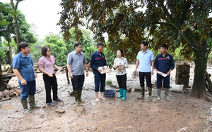 Nông dân thiếu thốn đủ bề, kiệt sức sau bão lũ lịch sử:  Tan hoang làng đào Cam Giá (Bài 3) - Ảnh 8.