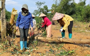 Làng cổ Cự Nẫm ở Quảng Bình xưa nay là xã nông thôn mới nâng cao, làng đẹp như phim - Ảnh 4.