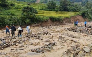 Lào Cai: Hỗ trợ hạt giống rau cho hội viên, nông dân bị thiệt hại do mưa lũ - Ảnh 6.