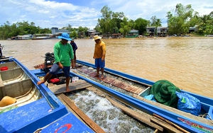 Vì sao giá tiền công cắt lúa ở một huyện của Hậu Giang lại bắt ngờ tăng vọt, 1 công nhận 400 ngàn? - Ảnh 2.