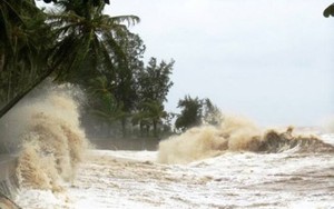 Tỷ phú cá giống ở Hải Dương thiệt hại hơn 40 tỷ do bão lũ có phương án phục hồi sản xuất thế nào? - Ảnh 8.