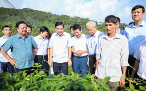 Giải báo chí toàn quốc về nông nghiệp, nông dân, nông thôn: Nhiều tác phẩm báo chí có chất lượng tốt, đổi mới, sáng tạo - Ảnh 8.