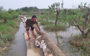 Đà Nẵng: Nước sông Cu Đê dâng cao, một thôn ở xã miền núi Hòa Bắc bị ngập nước- Ảnh 13.