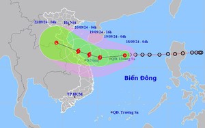 Người dân Quảng Bình gia cố, chằng chéo nhà cửa phòng chống bão - Ảnh 7.