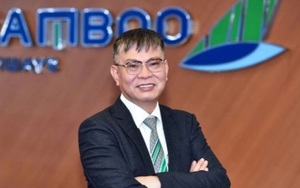 Hủy bỏ tạm hoãn xuất cảnh với CEO Bamboo Airways Lương Hoài Nam - Ảnh 4.