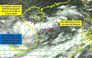 Mưa lớn ở Quảng Nam gây ngập lụt ở các nơi dù áp thấp nhiệt đới vẫn còn ngoài khơi biển Đông - Ảnh 8.