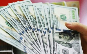 Giá USD hôm nay 19/9: Tỷ giá "chợ đen" lao dốc, bán ra về dưới 25.000 đồng - Ảnh 4.