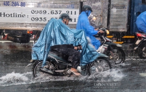 Đà Nẵng sẵn sàng sơ tán người dân, nhất là tại các khu vực ngập sâu- Ảnh 6.