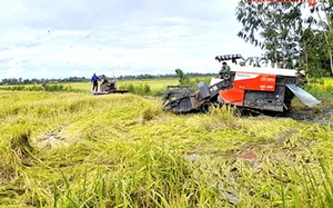 Nguy cơ bão số 4 đổ bộ, Quảng Trị huy động tổng lực phòng chống - Ảnh 6.