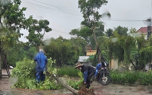 Từ chiều đến đêm nay, từ Hà Tĩnh đến Quảng Trị sẽ hứng chịu mưa cực lớn - Ảnh 1.