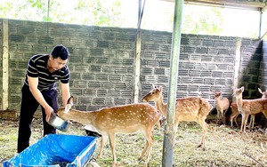 Trường Cán bộ Hội Nông dân Việt Nam tổ chức Hội thảo gia công trong nông nghiệp, thực trạng và kiến nghị - Ảnh 6.