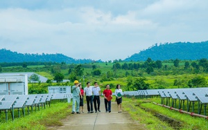 Động lực để hoàn thiện bảo hiểm nông nghiệp: Điều gì kìm hãm bảo hiểm nông nghiệp phát triển (bài 2) - Ảnh 3.