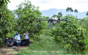 Khánh Hòa: Trao 300 cây giống mãng cầu Thái cho các hộ dân tộc Raglai ở huyện Khánh Sơn - Ảnh 9.