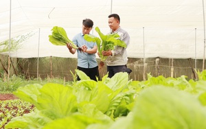 Hội Nông dân tỉnh Lâm Đồng phối hợp trao quà cho con em của hội viên, nông dân khó khăn - Ảnh 3.