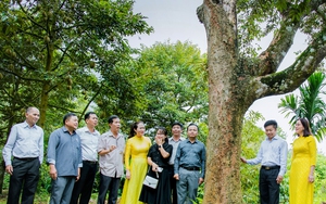 "Mỏ vàng sầu riêng", loại trái cây vua của Việt Nam: Sức nóng từ vùng trồng sầu riêng Tây Nguyên (Bài 1)- Ảnh 15.