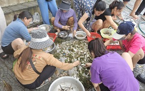 Quảng Bình: Nước lên cao 2m, nông dân Tân Hoá quá quen, lên nhà phao, bình thản với lũ- Ảnh 5.