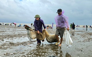 Người dân Nghi Ân chung tay giải cứu trại gà sau sự cố chập điện- Ảnh 8.