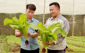 Tuyên truyền chống phá Nhà nước trên mạng xã hội, Hoàng Việt Khánh bị tuyên 8 năm tù- Ảnh 6.